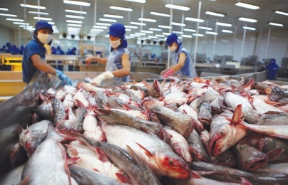 Xuất khẩu thủy sản năm 2020 có thể đạt mốc 8,6 tỷ USD