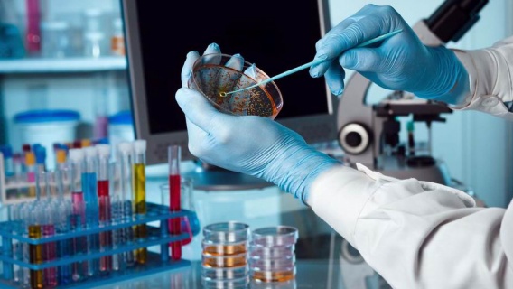 Bộ Khoa học và Công nghệ chủ trì xây dựng hạ tầng chất lượng quốc gia