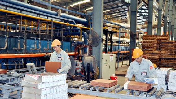 Tạo lập môi trường cạnh tranh thực sự bình đẳng, lành mạnh - tiền đề để kinh tế tư nhân phát triển