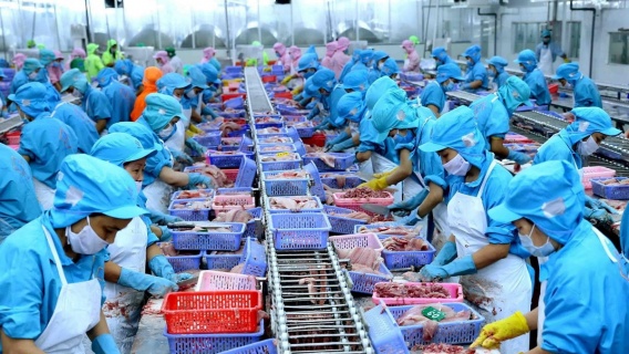 Giải pháp tháo gỡ khó khăn do tác động của dịch bệnh lên tốc độ tăng trưởng xuất khẩu