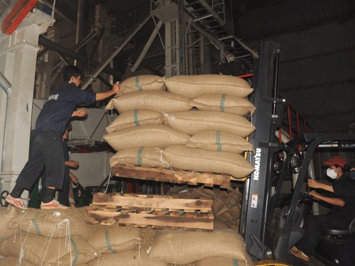 Làm giả chứng từ chiếm đoạt 4000 tấn cà phê