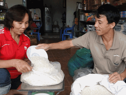 Chi phí làm gạo giả còn đắt hơn gạo thật?