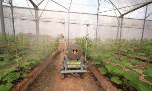 Sáng chế máy phun thuốc trừ sâu tự hành hữu hiệu của nông dân Tiền Giang