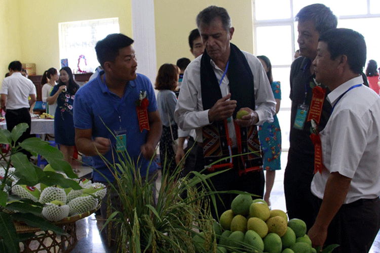 Xoài Sơn La lần đầu xuất khẩu sang thị trường Anh, Mỹ