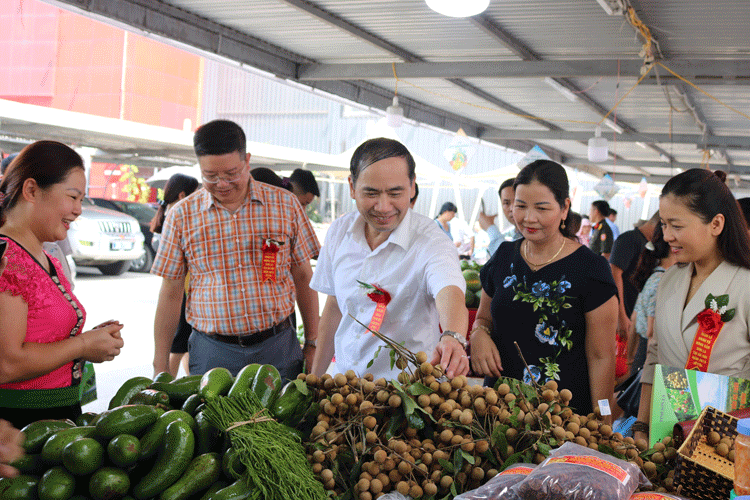 40.000 tấn nhãn Sơn La sẽ được tiêu thụ trong vụ mùa 2019 40.000 tấn nhãn Sơn La sẽ được tiêu thụ trong vụ mùa 2019