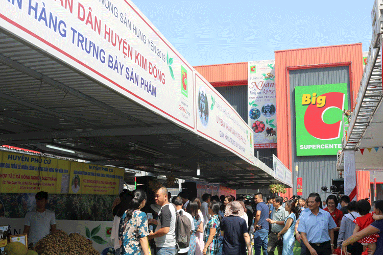 Nhãn lồng Hưng Yên chính thức đến với người tiêu dùng Thủ đô và các tỉnh Bắc bộ