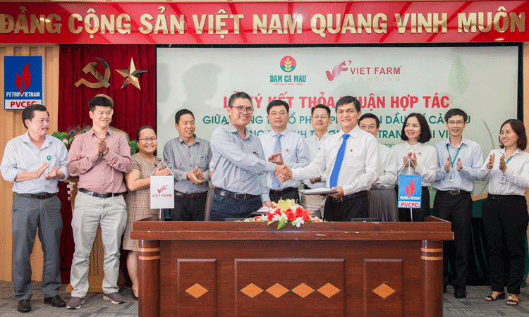 Đạm Cà Mau- đa dạng dòng sản phẩm cung cấp dinh dưỡng cho cây trồng với phân bón hữu cơ