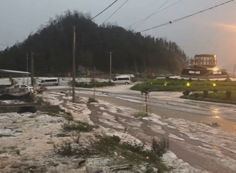 Mưa đá, giông lốc gây thiệt hại 130,6 tỷ đồng cho các tỉnh miền núi phía Bắc