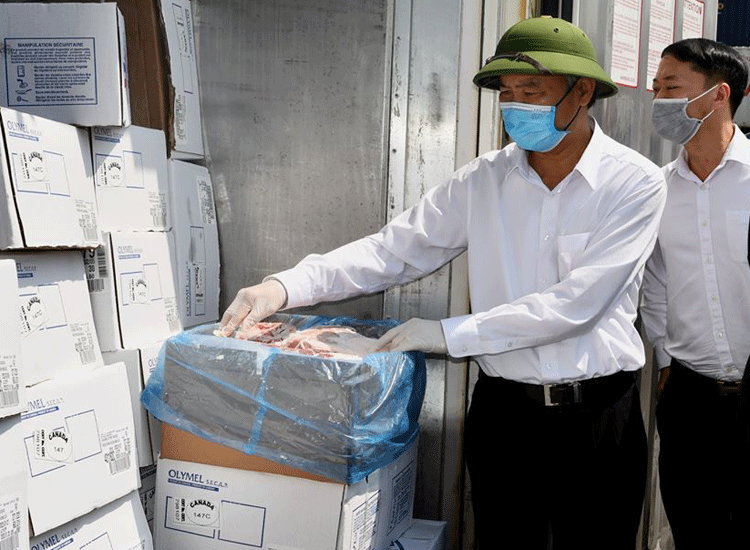 Thịt lợn nhập khẩu về tới cảng Việt Nam có giá khoảng 60 ngàn đồng/kg