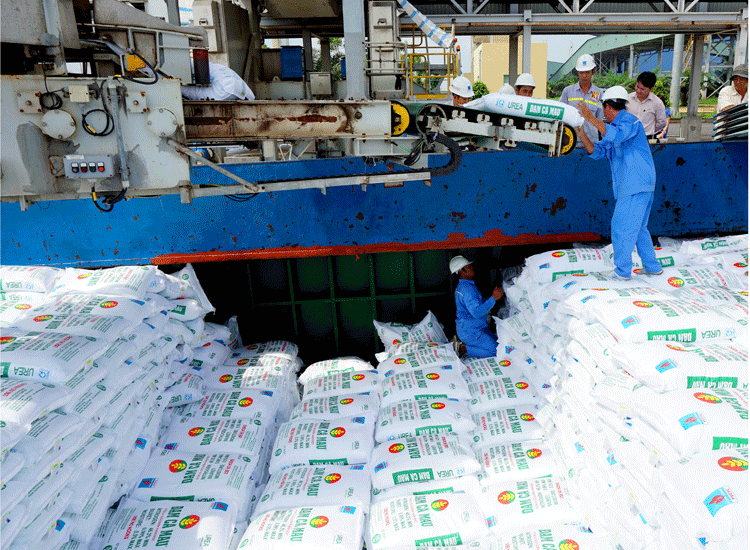 Phân bón Cà Mau vững vàng vị thế Thương hiệu Quốc gia