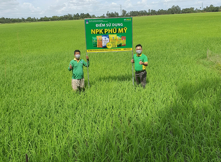 PVFCCo hợp tác triển khai chương trình sử dụng phân bón an toàn, cân đối, hiệu quả 