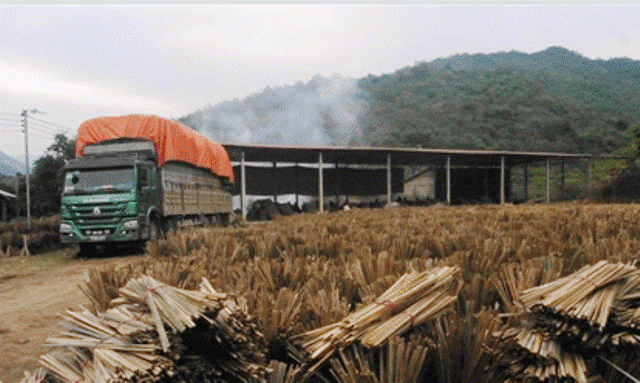 Đầu tư của Việt Nam vào Lào tăng trưởng theo hướng bền vững 