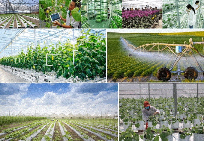 Khoa học công nghệ và đổi mới sáng tạo - động lực thúc đẩy tăng trưởng ngành nông nghiệp