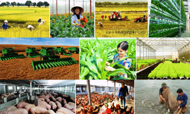 Bốn tháng, hầu hết mặt hàng nông lâm thủy sản chủ lực đạt giá trị xuất khẩu cao