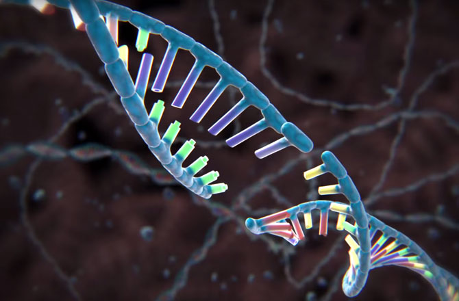 Những thành tựu khoa học công nghệ hiện nay cho phép chỉnh sửa gen của loài người