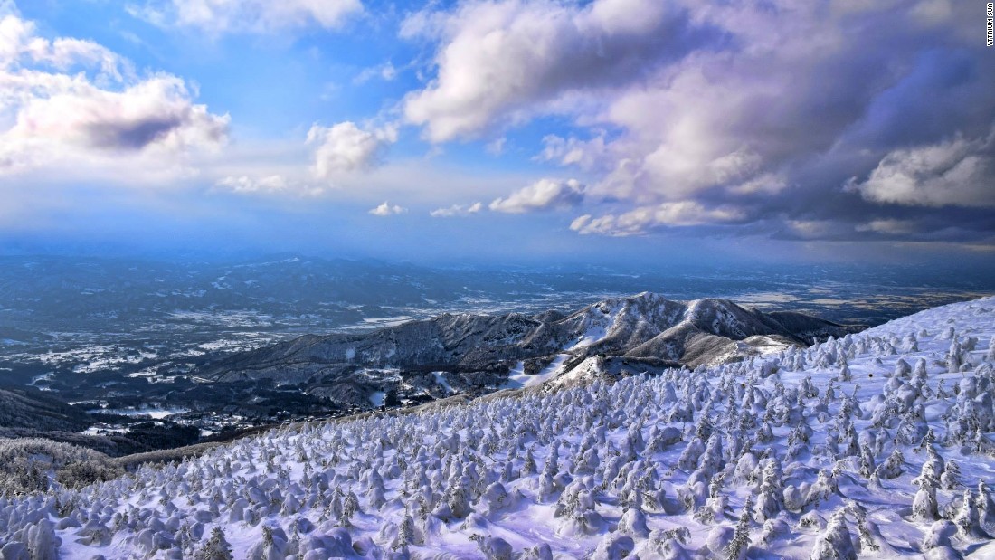 Khu resort Zao Onsen: Du khách đến đây có thể vừa trượt tuyết vừa ngắm những hàng cây được tuyết bao phủ 