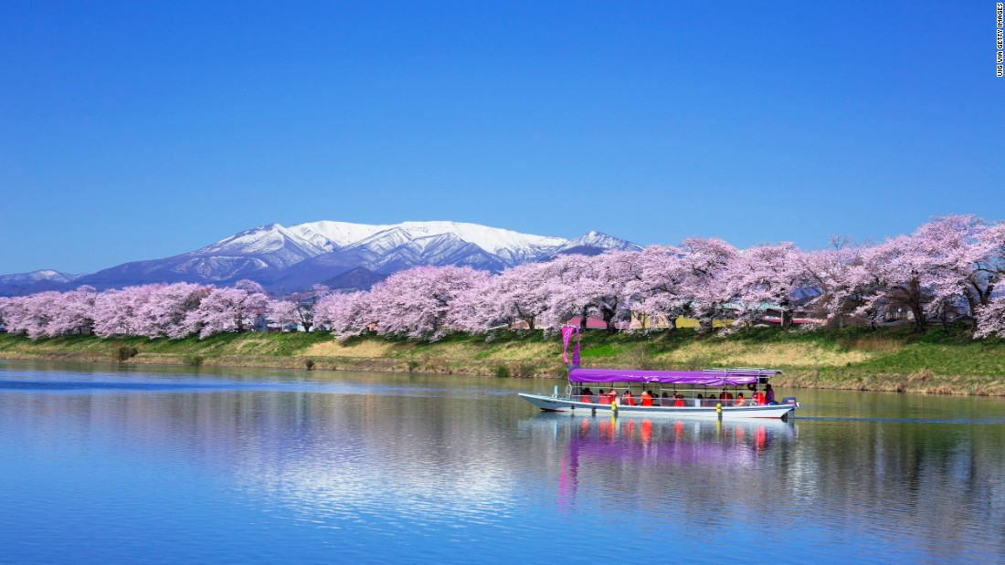 Sông Shiraishi: Ngắm hoa anh đào nở rộ ở sông Shiraishi là điều không bao giờ khiến du khách thất vọng
