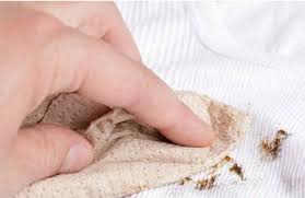 Dùng miếng vải sạch, hoặc khăn sạch nhẹ nhàng thấm sạch vết bẩn ngay khi vết cà phê dính trên áo quần