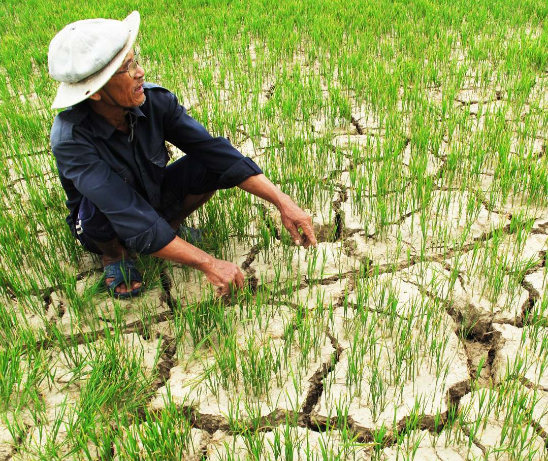 El Nino + Biến đổi khí hậu: Nhiệt độ có thể tăng cao ở mức kỷ lục