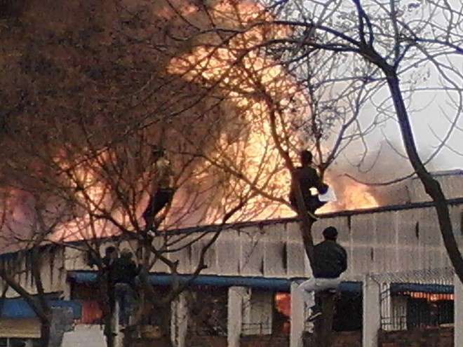Công nhân trèo lên cây theo dõi cảnh sát dập lửa tại hiện trường vụ cháy lớn ở khu công nghiệp Quế Võ (Bắc Ninh)