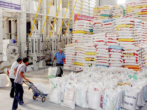 Ninh Bình nâng cao năng suất chất lượng gạo
