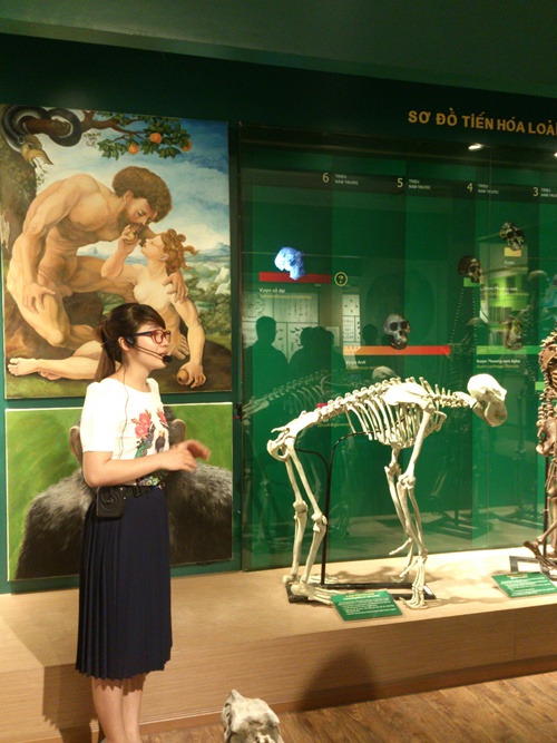 Bảo tàng Thiên nhiên Việt Nam mở cửa cả thứ bảy và chủ nhật