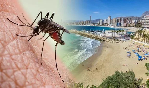 Bị muỗi đốt - khách du lịch nhiễm vi rút nguy hiểm