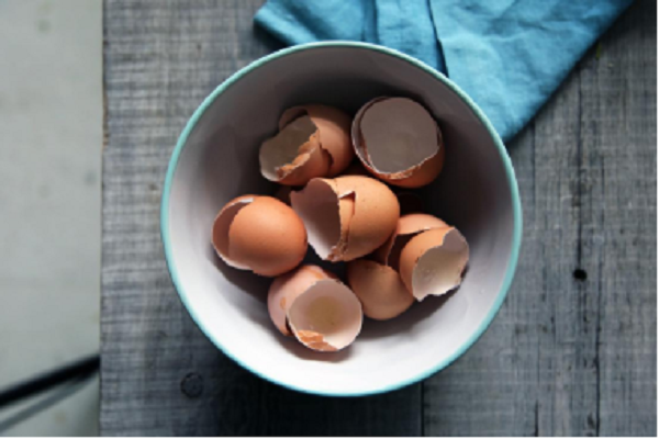 Vỏ trứng nghiền có thể giúp khắc phục tổn thương xương