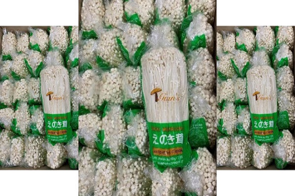 Một công ty tại Hoa Kỳ thu hồi nấm enoki nhập khẩu từ Hàn Quốc vì lo ngại nhiễm khuẩn