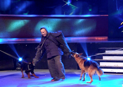 thử sức với khuyển