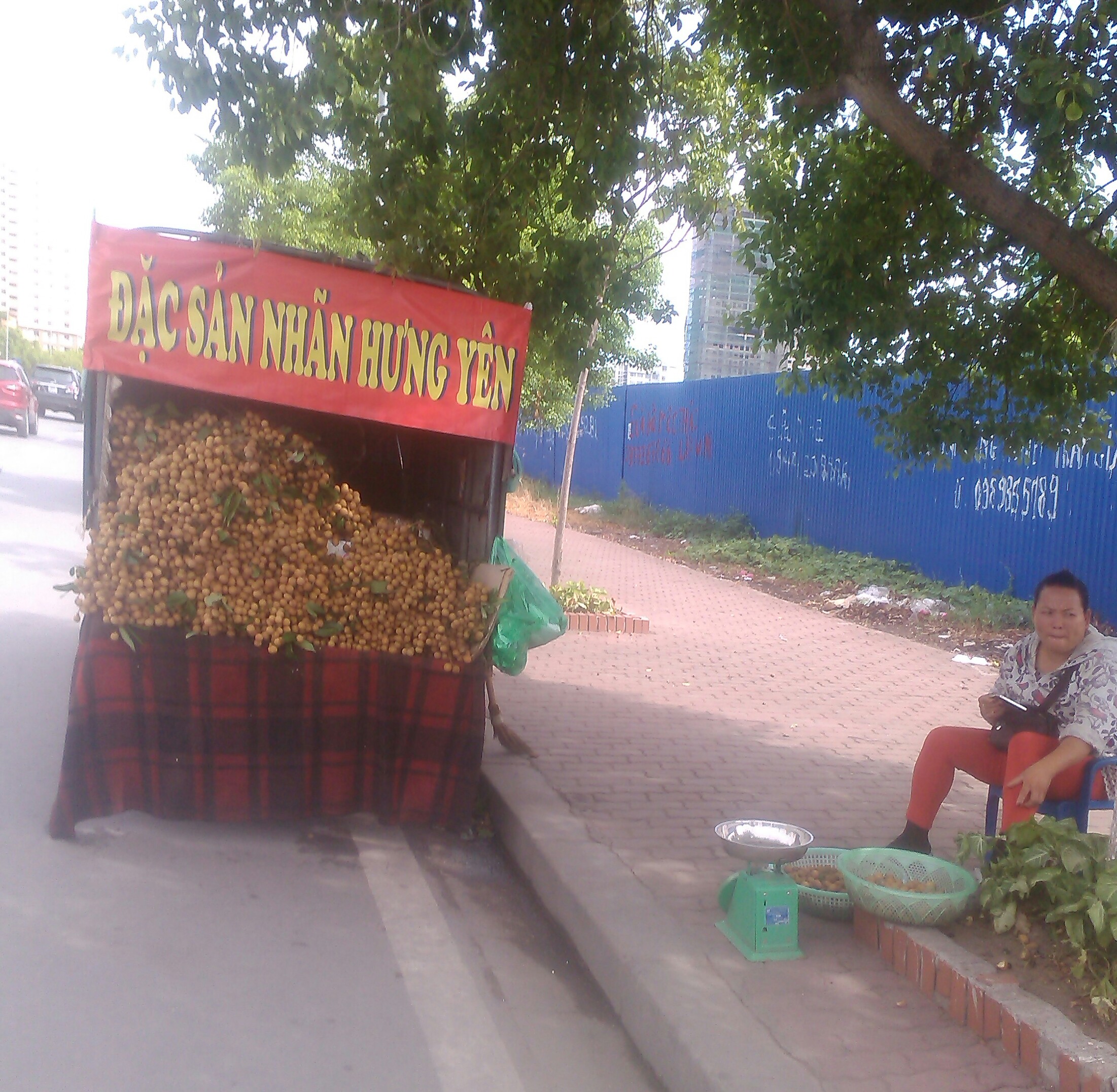 Nhãn lồng Hưng Yên rởm bày bán tại Hà Nội