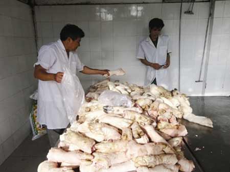 Chân lợn thối được ngâm tẩm hóa chất được chế biến thành các món ăn nhậu hấp dẫn Chân lợn thối được ngâm tẩm hóa chất được chế biến thành các món ăn nhậu hấp dẫn