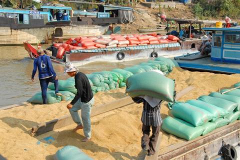 rung Quốc chiếm 42% thị trường xuất khẩu gạo của Việt Nam