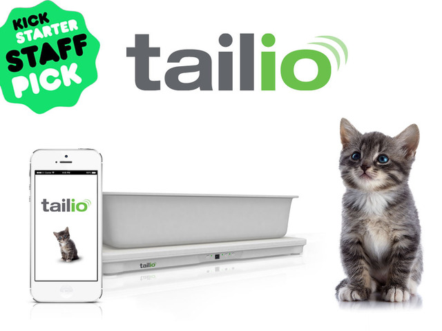 Tailio là một thiết bị theo dõi sức khỏe thông minh dành riêng cho những chú mèo