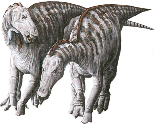 Loài khủng long mỏ vịt có khối u trên mặt