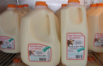 Sữa là thực phẩm nhiễm độc khuẩn campylobacter