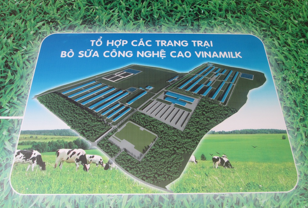 Mô hình tổ hợp các trang trại bò sữa công nghệ cao của Vinamilk được xây dựng tại tỉnh Thanh Hóa