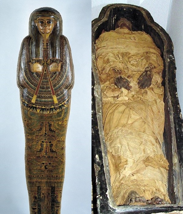 Discover how the ancient Egyptians mummified - MVietQ