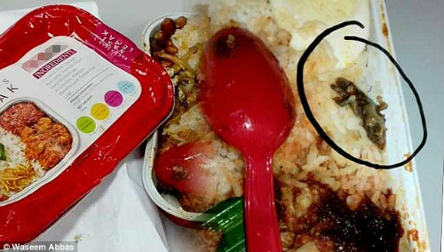 Hành khách Waseem Abbas khẳng định mình đã bị ngộ độc thực phẩm sau khi ăn phải đồ ăn trên máy bay có lẫn xác thằn lằn.