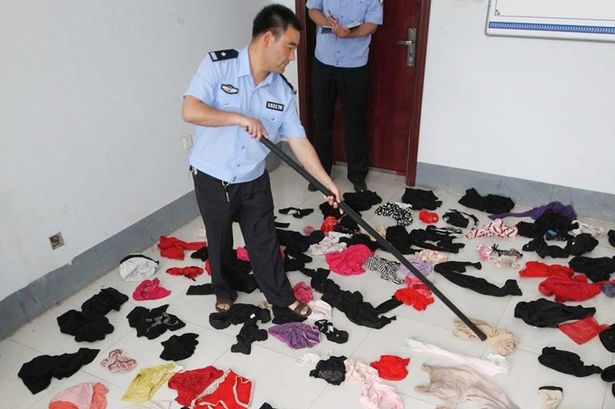 Cảnh sát thu giữ được hàng trăm đồ lót phụ nữ bị ăn cắp tại nhà Guang. Ảnh Mirror
