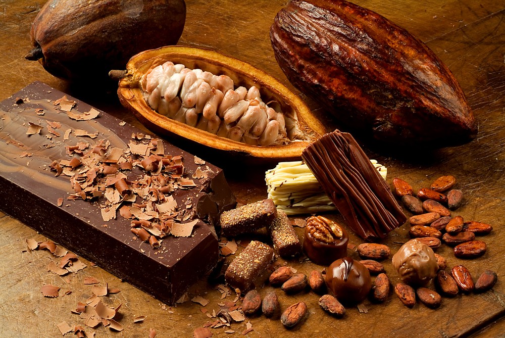 Chất lượng nguyên liệu hạt ca cao và sản phẩm chocolate xuất khẩu của Công ty TNHH ca cao Trọng Đức được đánh giá cao