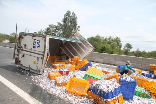 Vụ tai nạn giao thông khiến hàng tấn cá đổ tràn ra mặt đường quốc lộ