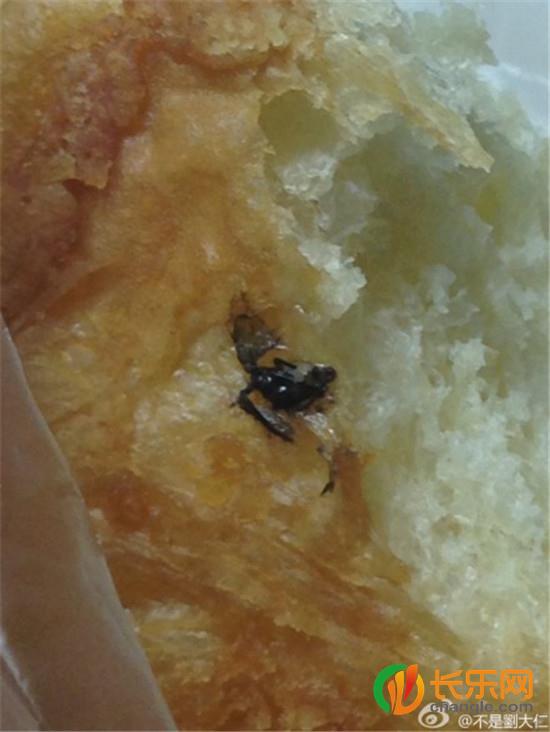 Con côn trùng màu đen nằm giữa chiếc bánh mì đang ăn dở