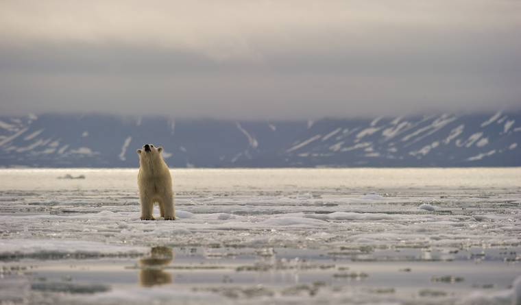Bảo vệ môi trường, chúng ta khinh bỉ nó. Hàng tuần nó đưa ra những đạo luật mới- Ảnh: Getty Images