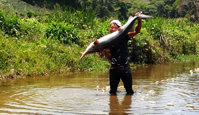 Anh Cil Múp Ha Quyên (Lâm Đồng) tỏ ra vui mừng khi bắt được cá khủng