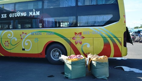 Số nội tạng thối chất đầy xe khách giường nằm bị thu giữ tại Bến xe Trung tâm TP Đà Nẵng