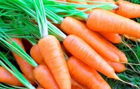 Không chỉ có tác dụng trị mụn, cà rốt còn giảm vết cháy nắng hiệu quả