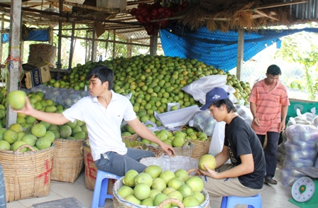 Cách làm giàu từ việc kinh doanh những mặt hàng phục vụ ngày Tết giúp người kinh doanh thu được lợi nhuận lớn trong dịp tết