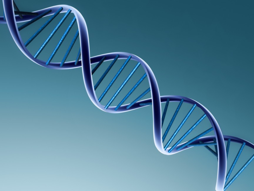 Khoa học đang tìm cách giải mã bí mật cơ thể người qua bộ mã ADN
