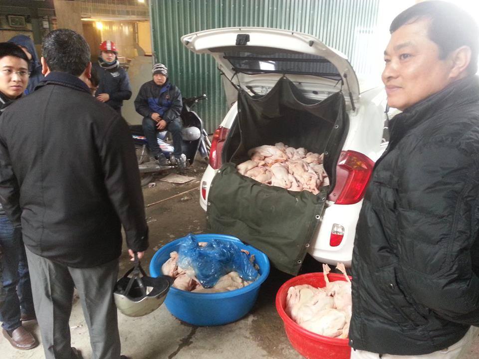 vịt được bơm hơi